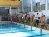 dscf3367_small.jpg