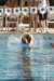 masters_0211_small.jpg