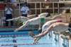 masters_0225s_small.jpg